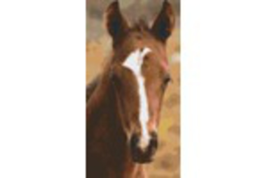 Beautiful Horse Six [6] Baseplate PixelHobby Mini-mosaic Art Kits image 0